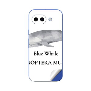 Google Pixel 10/10a/10 Pro/10 Pro XL/10 Pro Fold �Ή� �X�L���V�[�� �������� �w�� �ی� �J�o�[ �X�e�b�J�[ �X�}�z ������� �\�邾�� ����2������ igsticker �C�̐��� �V���i�K�X�N�W�� blue whale 019741