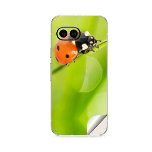 Google Pixel 9/9a/9 Pro/9 Pro XL/9 Pro Fold �Ή� �X�L���V�[�� �������� �w�� �ی� �J�o�[ �X�e�b�J�[ �X�}�z ������� �\�邾�� ����2������ igsticker �Ă�Ƃ����@�� 000820