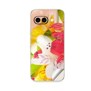 Google Pixel 9/9a/9 Pro/9 Pro XL/9 Pro Fold �Ή� �X�L���V�[�� �������� �w�� �ی� �J�o�[ �X�e�b�J�[ �X�}�z ������� �\�邾�� ����2������ igsticker �ԁ@�c�c�W 000970