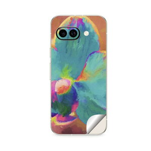 Google Pixel 9/9a/9 Pro/9 Pro XL/9 Pro Fold �Ή� �X�L���V�[�� �������� �w�� �ی� �J�o�[ �X�e�b�J�[ �X�}�z ������� �\�邾�� ����2������ igsticker �ԁ@�J���t���@�G��@�y�C���g 022899