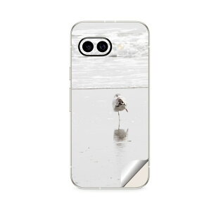 Google Pixel 9/9a/9 Pro/9 Pro XL/9 Pro Fold �Ή� �X�L���V�[�� �������� �w�� �ی� �J�o�[ �X�e�b�J�[ �X�}�z ������� �\�邾�� ����2������ igsticker ���@�����@�C 023779