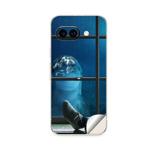 Google Pixel 9/9a/9 Pro/9 Pro XL/9 Pro Fold �Ή� �X�L���V�[�� �������� �w�� �ی� �J�o�[ �X�e�b�J�[ �X�}�z ������� �\�邾�� ����2������ igsticker �C���J�@���@�����@�C 025636