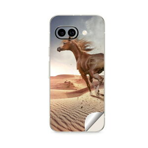 Google Pixel 9/9a/9 Pro/9 Pro XL/9 Pro Fold �Ή� �X�L���V�[�� �������� �w�� �ی� �J�o�[ �X�e�b�J�[ �X�}�z ������� �\�邾�� ����2������ igsticker ���� �n 030474