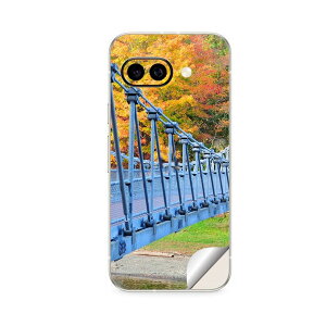 Google Pixel 9/9a/9 Pro/9 Pro XL/9 Pro Fold �Ή� �X�L���V�[�� �������� �w�� �ی� �J�o�[ �X�e�b�J�[ �X�}�z ������� �\�邾�� ����2������ igsticker �݂苴 033594