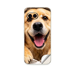 Google Pixel 9/9a/9 Pro/9 Pro XL/9 Pro Fold �Ή� �X�L���V�[�� �������� �w�� �ی� �J�o�[ �X�e�b�J�[ �X�}�z ������� �\�邾�� ����2������ igsticker ���� ���� 037098