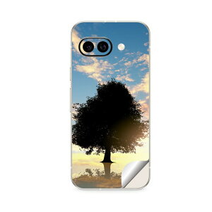 Google Pixel 9/9a/9 Pro/9 Pro XL/9 Pro Fold �Ή� �X�L���V�[�� �������� �w�� �ی� �J�o�[ �X�e�b�J�[ �X�}�z ������� �\�邾�� ����2������ igsticker �ʐ^�@�[���@�A���@�� 007485