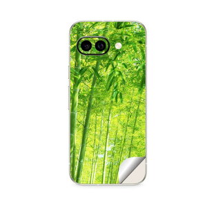 Google Pixel 9/9a/9 Pro/9 Pro XL/9 Pro Fold �Ή� �X�L���V�[�� �������� �w�� �ی� �J�o�[ �X�e�b�J�[ �X�}�z ������� �\�邾�� ����2������ igsticker �A���@�|�с@�ʐ^ 010083