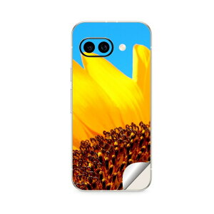 Google Pixel 9/9a/9 Pro/9 Pro XL/9 Pro Fold �Ή� �X�L���V�[�� �������� �w�� �ی� �J�o�[ �X�e�b�J�[ �X�}�z ������� �\�邾�� ����2������ igsticker �ԁ@�Ђ܂��@�ʐ^ 011439