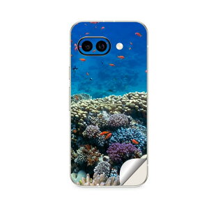 Google Pixel 9/9a/9 Pro/9 Pro XL/9 Pro Fold �Ή� �X�L���V�[�� �������� �w�� �ی� �J�o�[ �X�e�b�J�[ �X�}�z ������� �\�邾�� ����2������ igsticker �C�@�X��@�ʐ^ 011697