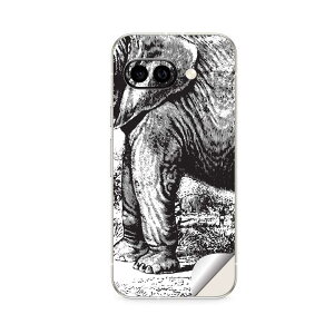 Google Pixel 9/9a/9 Pro/9 Pro XL/9 Pro Fold �Ή� �X�L���V�[�� �������� �w�� �ی� �J�o�[ �X�e�b�J�[ �X�}�z ������� �\�邾�� ����2������ igsticker �]�E�@�����@�A�j�}�� 014371