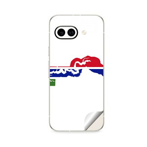 Google Pixel 9/9a/9 Pro/9 Pro XL/9 Pro Fold �Ή� �X�L���V�[�� �������� �w�� �ی� �J�o�[ �X�e�b�J�[ �X�}�z ������� �\�邾�� ����2������ igsticker gambia �K���r�A 018831