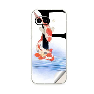 Google Pixel 9/9a/9 Pro/9 Pro XL/9 Pro Fold �Ή� �X�L���V�[�� �������� �w�� �ی� �J�o�[ �X�e�b�J�[ �X�}�z ������� �\�邾�� ����2������ igsticker ���� f �A���t�@�x�b�g 019448