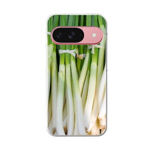 Google Pixel 9 / Pixel 9 pro ���ʑΉ� 6.3�C���` �n�[�h�P�[�X pixel9 pixel9pro �Ή� �P�[�X �J�o�[ 025602 ��؁@�l�M�@�ʐ^