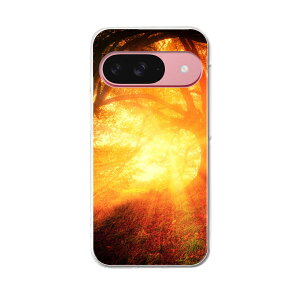 Google Pixel 9 / Pixel 9 pro ���ʑΉ� 6.3�C���` �n�[�h�P�[�X pixel9 pixel9pro �Ή� �P�[�X �J�o�[ 025677 ���R�@�X�@�[���@����