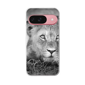 Google Pixel 9 / Pixel 9 pro ʑΉ 6.3C` n[hP[X pixel9 pixel9pro Ή P[X Jo[ 007626 ʐ^@mN@CI