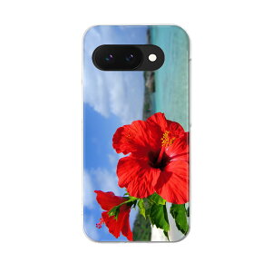 Google Pixel 9a p P[X 6.3C` n[hP[X pixel 9a Ή P[X Jo[ 001577 nCrXJX@