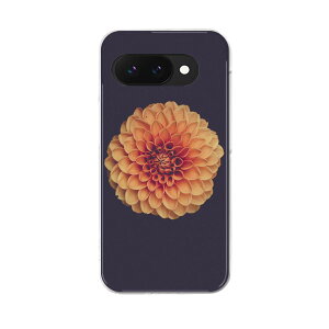 Google Pixel 9a p P[X 6.3C` n[hP[X pixel 9a Ή P[X Jo[ 022891 ԁ@ʐ^