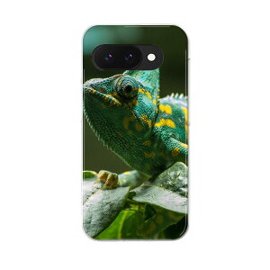 Google Pixel 9a 用 ケース 6.3インチ ハードケース pixel 9a 対応 ケース カバー 023102 イグアナ 写真 生き物