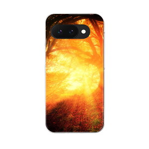 Google Pixel 9a p P[X 6.3C` n[hP[X pixel 9a Ή P[X Jo[ 025677 R@X@[@