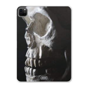 iPad Pro 11 ��2���� 2020�N�� �p �P�[�X �\�t�g TPU�P�[�X A2228 A2068 A2230 �Ή� �^�u���b�g�P�[�X �^�u���b�g�J�o�[ 000010 ���j�[�N �������@��