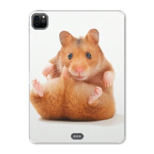 iPad Pro 11 2 2020N p P[X \tg TPUP[X A2228 A2068 A2230 Ή ^ubgP[X ^ubgJo[ 001075 Aj} nX^[@