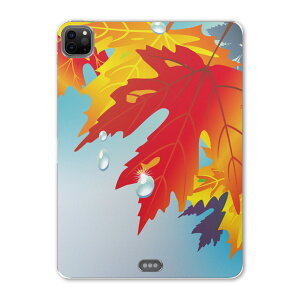 iPad Pro 11 ��2���� 2020�N�� �p �P�[�X �\�t�g TPU�P�[�X A2228 A2068 A2230 �Ή� �^�u���b�g�P�[�X �^�u���b�g�J�o�[ 001282 �t�����[ �g�t�@�H
