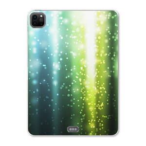 iPad Pro 11 ��2���� 2020�N�� �p �P�[�X �\�t�g TPU�P�[�X A2228 A2068 A2230 �Ή� �^�u���b�g�P�[�X �^�u���b�g�J�o�[ 002277 �N�[�� �u���@�΁@��