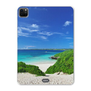 iPad Pro 11 2 2020N p P[X \tg TPUP[X A2228 A2068 A2230 Ή ^ubgP[X ^ubgJo[ 002777 ʐ^Ei ā@C@ʐ^