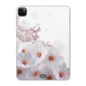 iPad Pro 11 2 2020N p P[X \tg TPUP[X A2228 A2068 A2230 Ή ^ubgP[X ^ubgJo[ 002860 t[ @ԁ@ʐ^