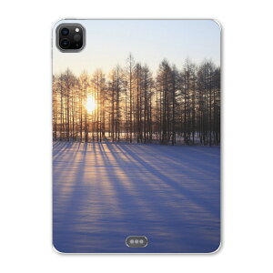 iPad Pro 11 2 2020N p P[X \tg TPUP[X A2228 A2068 A2230 Ή ^ubgP[X ^ubgJo[ 003272 ʐ^Ei N[ ̑ ʐ^@iF@i