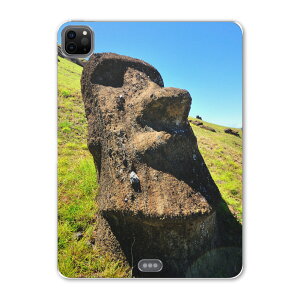 iPad Pro 12.9inch 2020f 4 ACpbhv 12.9C` ^ubgP[X ^ubgJo[ TPU \tgP[X A2229 A2069 A2232 A2233 003283 ̑ N[ ʐ^Ei O@ʐ^@iF@