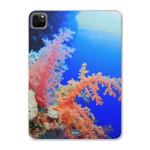 iPad Pro 11 2 2020N p P[X \tg TPUP[X A2228 A2068 A2230 Ή ^ubgP[X ^ubgJo[ 003341 ʐ^Ei N[ C@ʐ^@iF@i