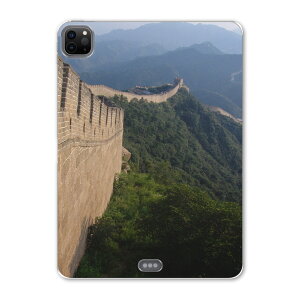 iPad Pro 12.9inch 2020f 4 ACpbhv 12.9C` ^ubgP[X ^ubgJo[ TPU \tgP[X A2229 A2069 A2232 A2233 003652 ʐ^Ei i@iF@ʐ^