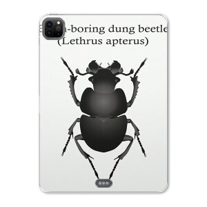 iPad Pro 11 2 2020N p P[X \tg TPUP[X A2228 A2068 A2230 Ή ^ubgP[X ^ubgJo[ 020017   lethrus apterus IILoZ`