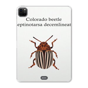 iPad Pro 12.9inch 2020f 4 ACpbhv 12.9C` ^ubgP[X ^ubgJo[ TPU \tgP[X A2229 A2069 A2232 A2233 020022   colorado beetle RhnV