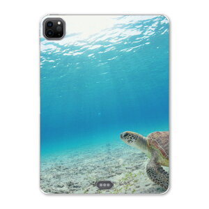 iPad Pro 11 2 2020N p P[X \tg TPUP[X A2228 A2068 A2230 Ή ^ubgP[X ^ubgJo[ 004605 ʐ^Ei E~K@C@ʐ^