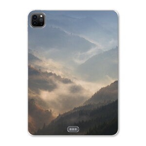 iPad Pro 11 2 2020N p P[X \tg TPUP[X A2228 A2068 A2230 Ή ^ubgP[X ^ubgJo[ 004702 ʐ^Ei iF@i@ʐ^