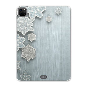 iPad Pro 11 2 2020N p P[X \tg TPUP[X A2228 A2068 A2230 Ή ^ubgP[X ^ubgJo[ 004933 t[ @@O[