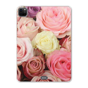 iPad Pro 11 2 2020N p P[X \tg TPUP[X A2228 A2068 A2230 Ή ^ubgP[X ^ubgJo[ 005493 ʐ^Ei t[ ʐ^@ԁ@t[