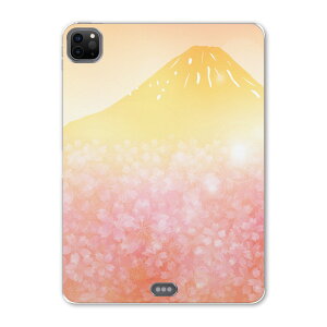 iPad Pro 11 2 2020N p P[X \tg TPUP[X A2228 A2068 A2230 Ή ^ubgP[X ^ubgJo[ 005504 t[ a@a@xmR