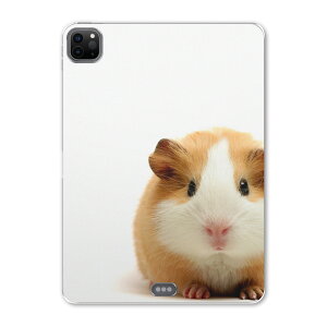 iPad Pro 11 2 2020N p P[X \tg TPUP[X A2228 A2068 A2230 Ή ^ubgP[X ^ubgJo[ 006036 Aj} ʐ^Ei ʐ^@@nX^[