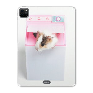 iPad Pro 12.9inch 2020f 4 ACpbhv 12.9C` ^ubgP[X ^ubgJo[ TPU \tgP[X A2229 A2069 A2232 A2233 006501 ʐ^Ei Aj} ʐ^@nX^[@