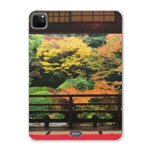 iPad Pro 11 2 2020N p P[X \tg TPUP[X A2228 A2068 A2230 Ή ^ubgP[X ^ubgJo[ 008066 ʐ^Ei ʐ^@a@@H@gt