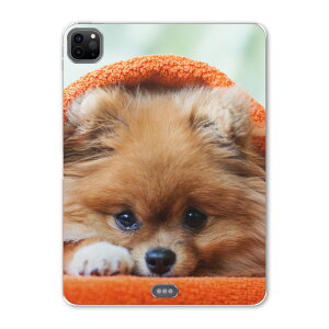 iPad Pro 12.9inch 2020�������f�� ��4���� �A�C�p�b�h�v�� 12.9�C���` �^�u���b�g�P�[�X �^�u���b�g�J�o�[ TPU �\�t�g�P�[�X A2229 A2069 A2232 A2233 008644 �A�j�}�� �ʐ^�E���i ���@�ʐ^�@�I�����W