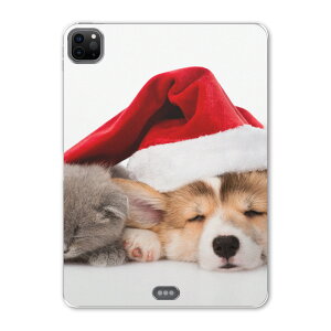 iPad Pro 12.9inch 2020f 4 ACpbhv 12.9C` ^ubgP[X ^ubgJo[ TPU \tgP[X A2229 A2069 A2232 A2233 008645 Aj} ʐ^Ei @L@Xq@ʐ^