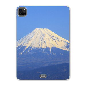 iPad Pro 11 2 2020N p P[X \tg TPUP[X A2228 A2068 A2230 Ή ^ubgP[X ^ubgJo[ 009599 xmR@i@iF@ʐ^