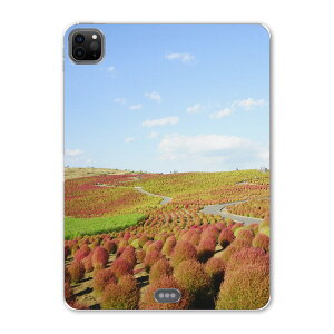 iPad Pro 11 ��2���� 2020�N�� �p �P�[�X �\�t�g TPU�P�[�X A2228 A2068 A2230 �Ή� �^�u���b�g�P�[�X �^�u���b�g�J�o�[ 009816 ���i�@�i�F�@�ʐ^