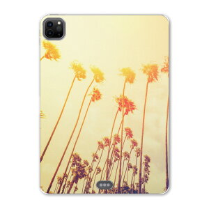 iPad Pro 11 2 2020N p P[X \tg TPUP[X A2228 A2068 A2230 Ή ^ubgP[X ^ubgJo[ 011327 ā@V̖؁@[