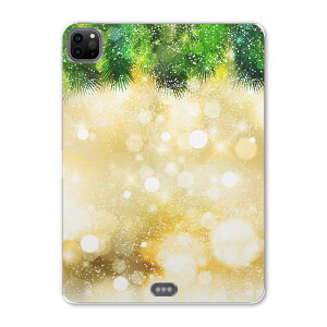 iPad Pro 11 ��2���� 2020�N�� �p �P�[�X �\�t�g TPU�P�[�X A2228 A2068 A2230 �Ή� �^�u���b�g�P�[�X �^�u���b�g�J�o�[ 012815 �L���L���@�A��