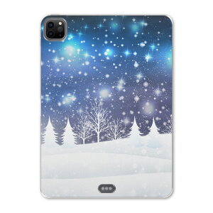 iPad Pro 11 ��2���� 2020�N�� �p �P�[�X �\�t�g TPU�P�[�X A2228 A2068 A2230 �Ή� �^�u���b�g�P�[�X �^�u���b�g�J�o�[ 012834 �c���[�@��@��